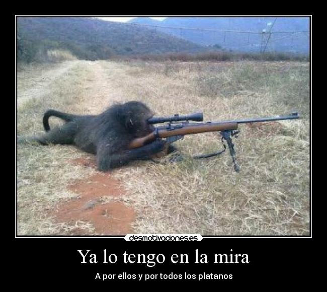 Ya lo tengo en la mira - A por ellos y por todos los platanos