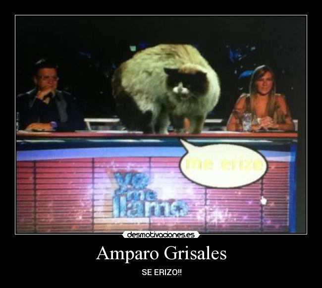 Amparo Grisales - SE ERIZO!!