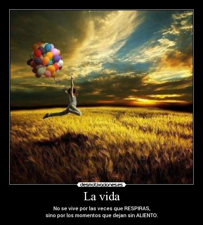 La vida -