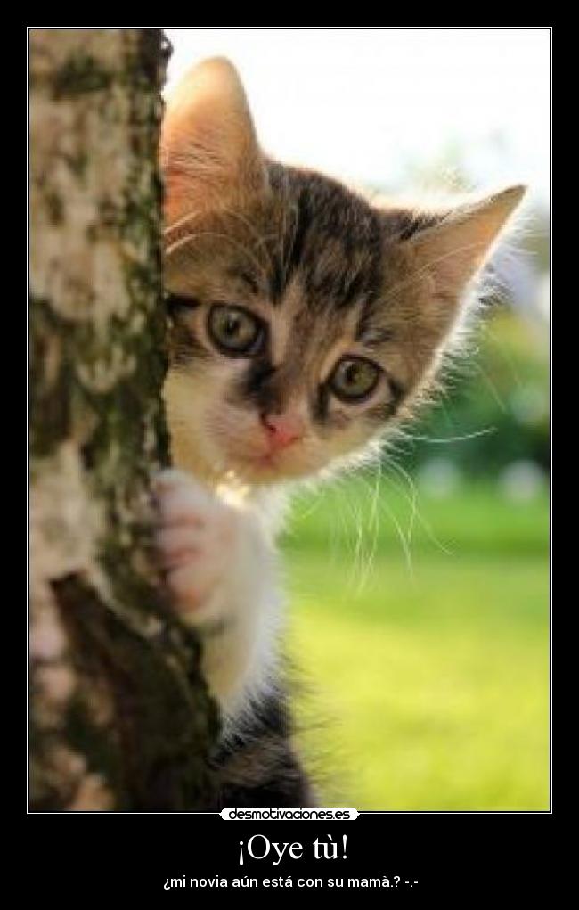 ¡Oye tù! - ¿mi novia aún está con su mamà.? -.-