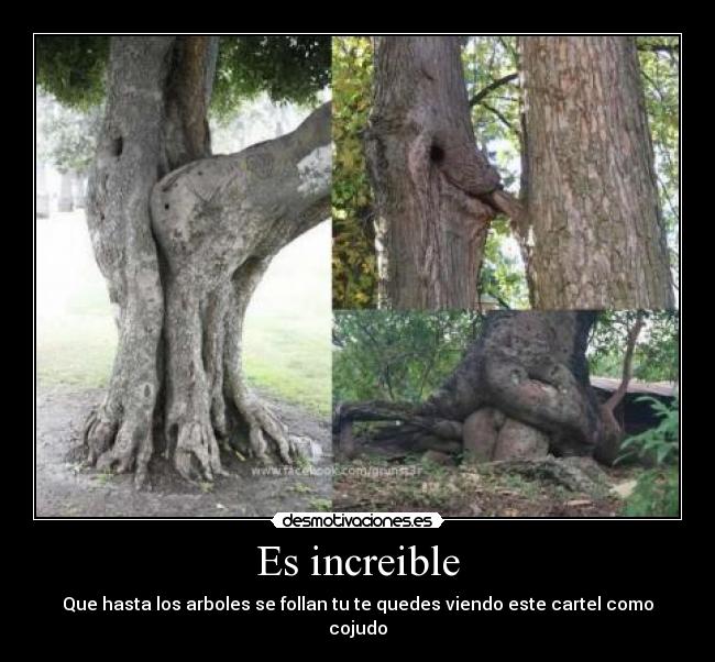 Es increible - 