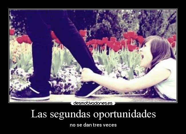 carteles tre desmotivaciones