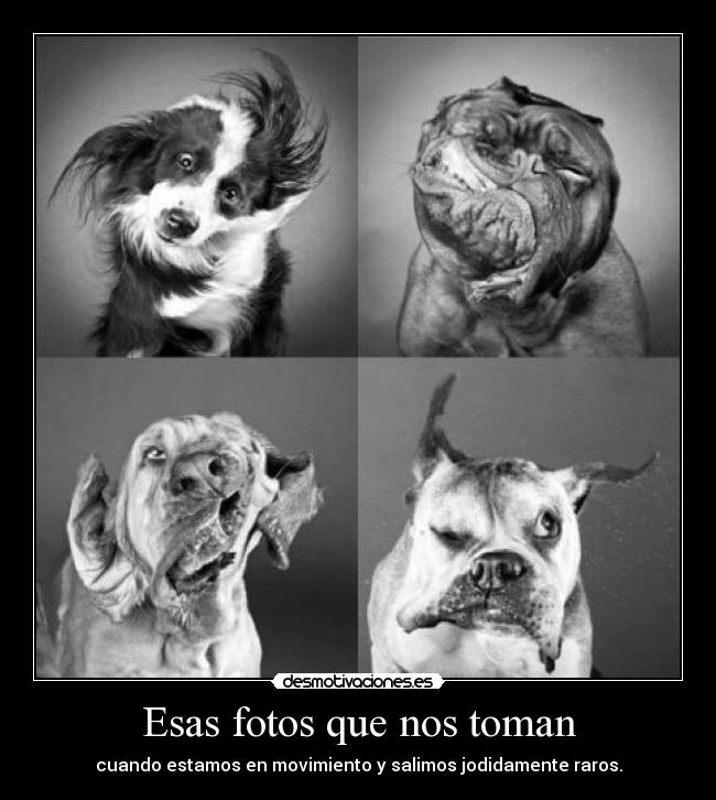 Esas fotos que nos toman -