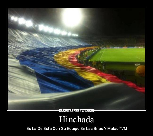 carteles sstiiveen moosqeeraa desmotivaciones