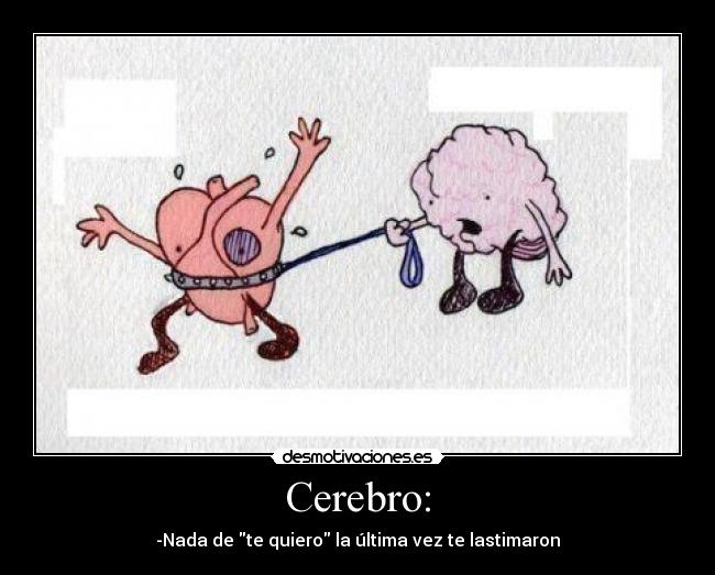 carteles corazon cerebro desmotivaciones