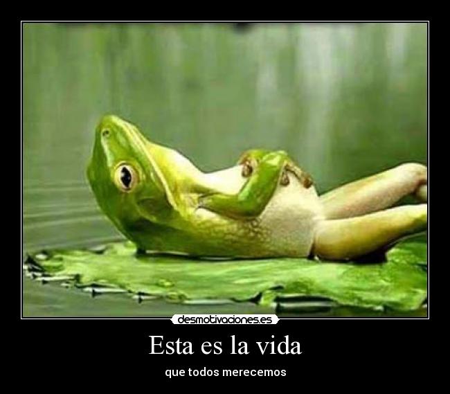 Esta es la vida - que todos merecemos