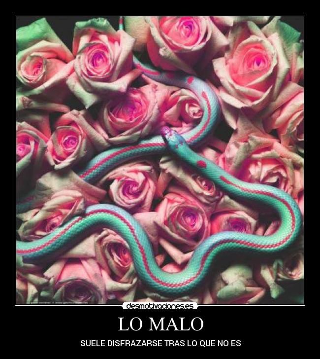 LO MALO - 