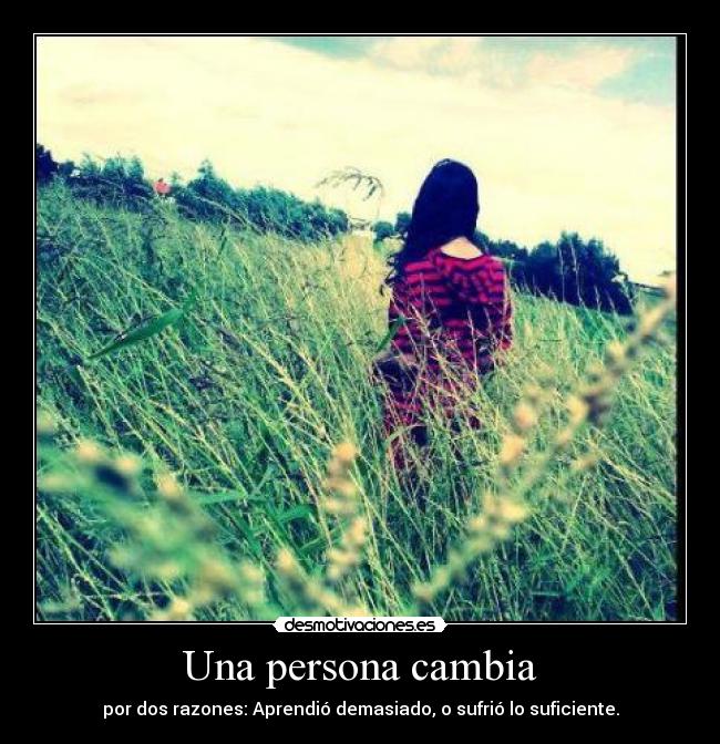 carteles ber desmotivaciones