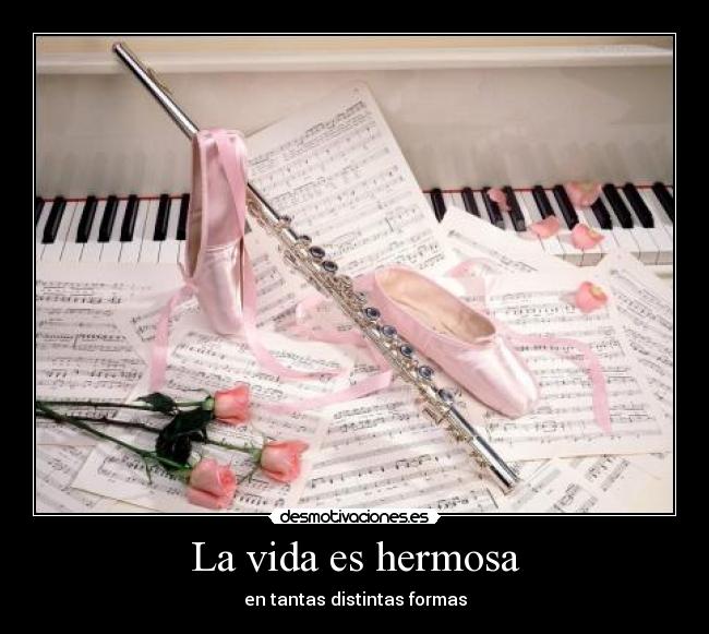 La vida es hermosa - en tantas distintas formas