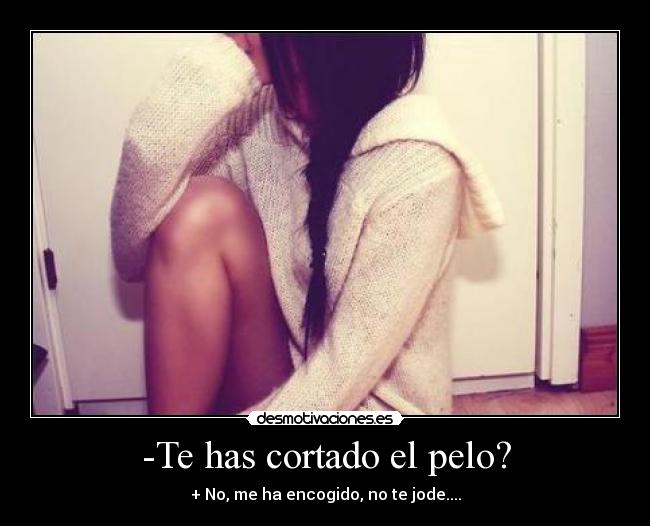 -Te has cortado el pelo? - + No, me ha encogido, no te jode....