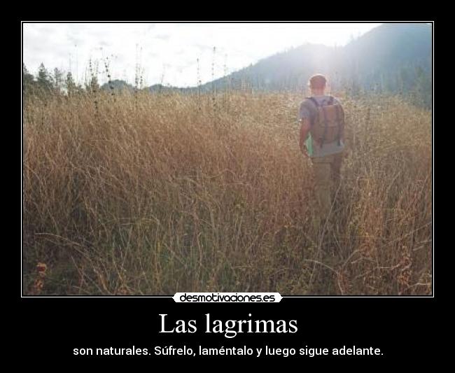 Las lagrimas - son naturales. Súfrelo, laméntalo y luego sigue adelante.