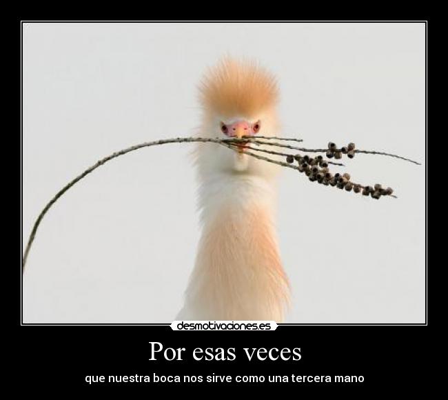 Por esas veces - 