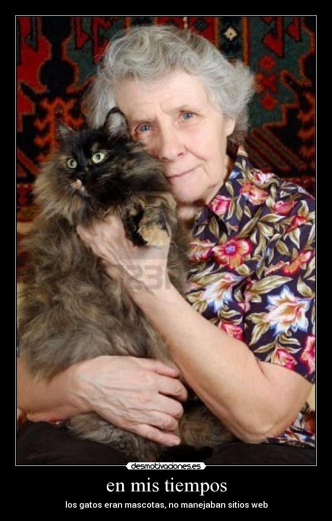 en mis tiempos - los gatos eran mascotas, no manejaban sitios web