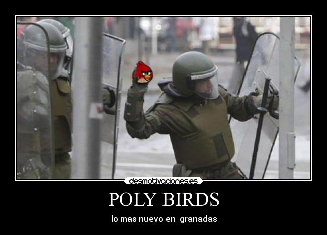 carteles poly birds desmotivaciones