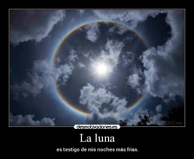 La luna - es testigo de mis noches más frías.