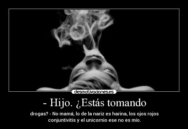 - Hijo. ¿Estás tomando - drogas? - No mamá, lo de la nariz es harina, los ojos rojos
conjuntivitis y el unicornio ese no es mío.