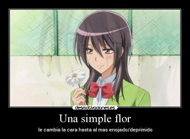 Una simple flor -