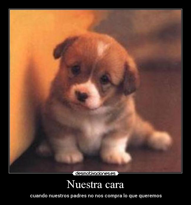 Nuestra cara - cuando nuestros padres no nos compra lo que queremos