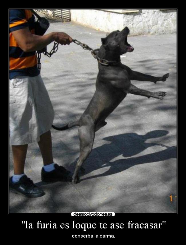 la furia es loque te ase fracasar -