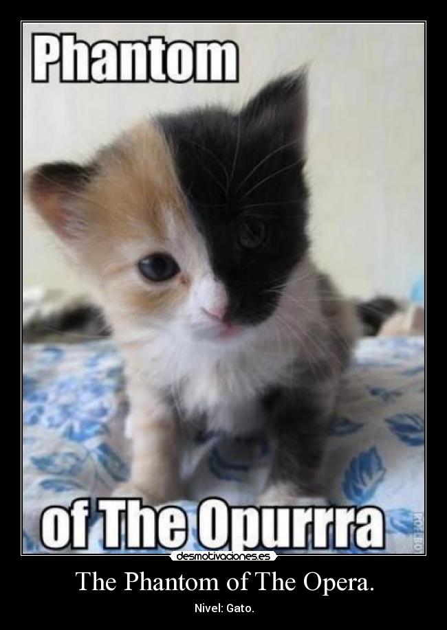 The Phantom of The Opera. - Nivel: Gato.