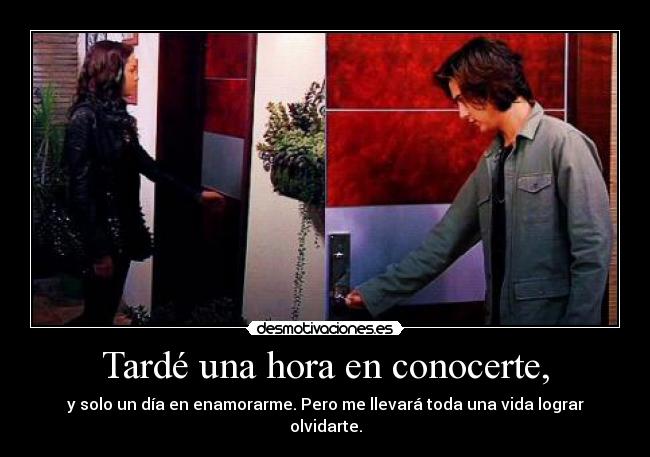 Tardé una hora en conocerte, - 