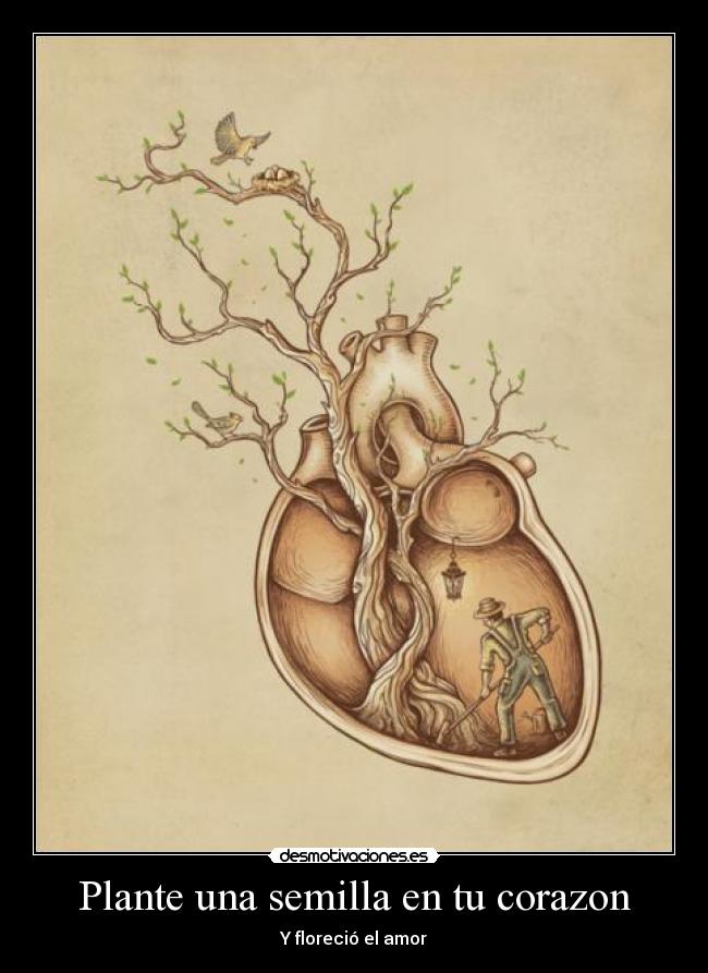 Plante una semilla en tu corazon - Y floreció el amor