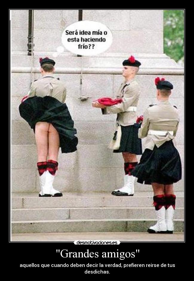 Grandes amigos - 
