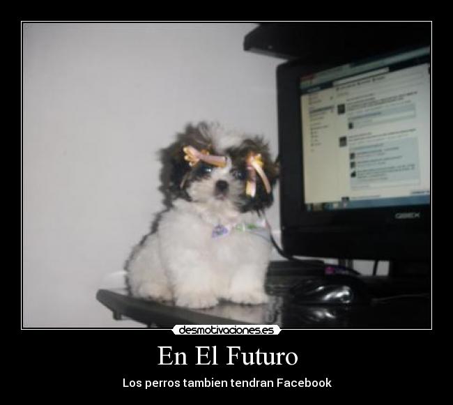 En El Futuro - Los perros tambien tendran Facebook