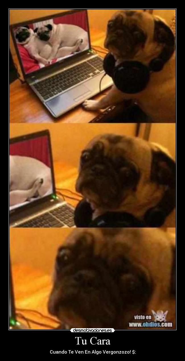 Tu Cara - Cuando Te Ven En Algo Vergonzozo! $: