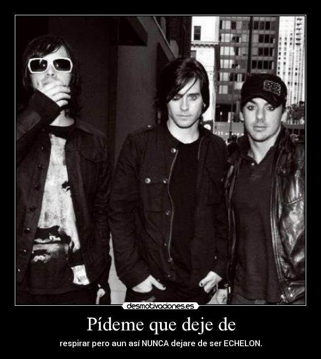 Pídeme que deje de - respirar pero aun así NUNCA dejare de ser ECHELON.