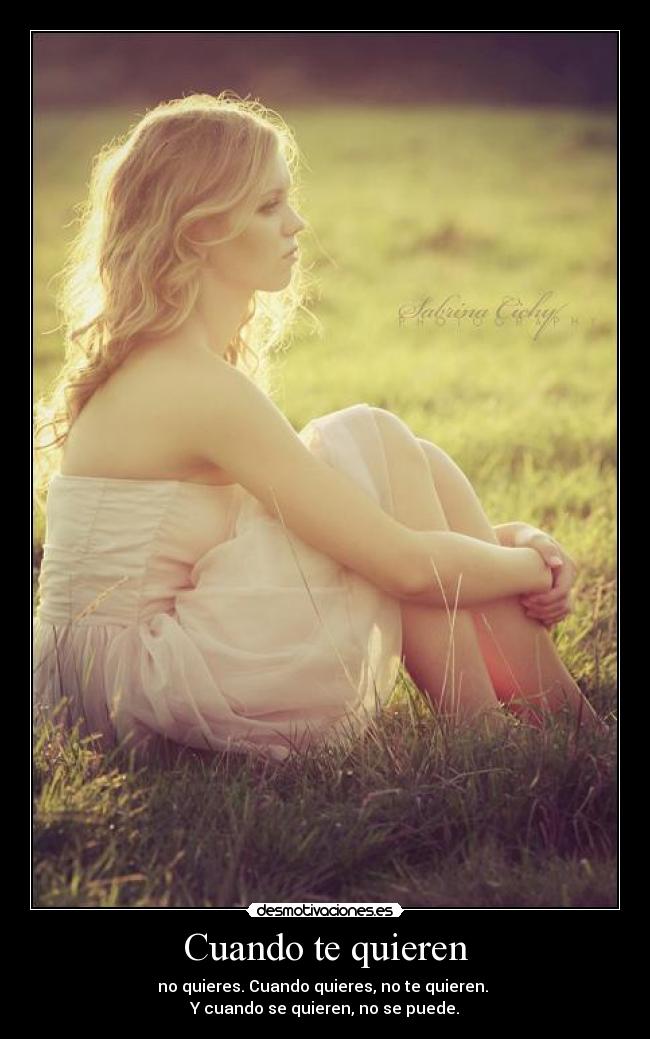 carteles true story desmotivaciones