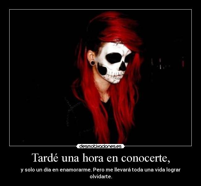 carteles perdon hice algo malo desmotivaciones