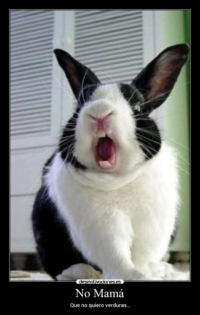 No Mamá - Que no quiero verduras...