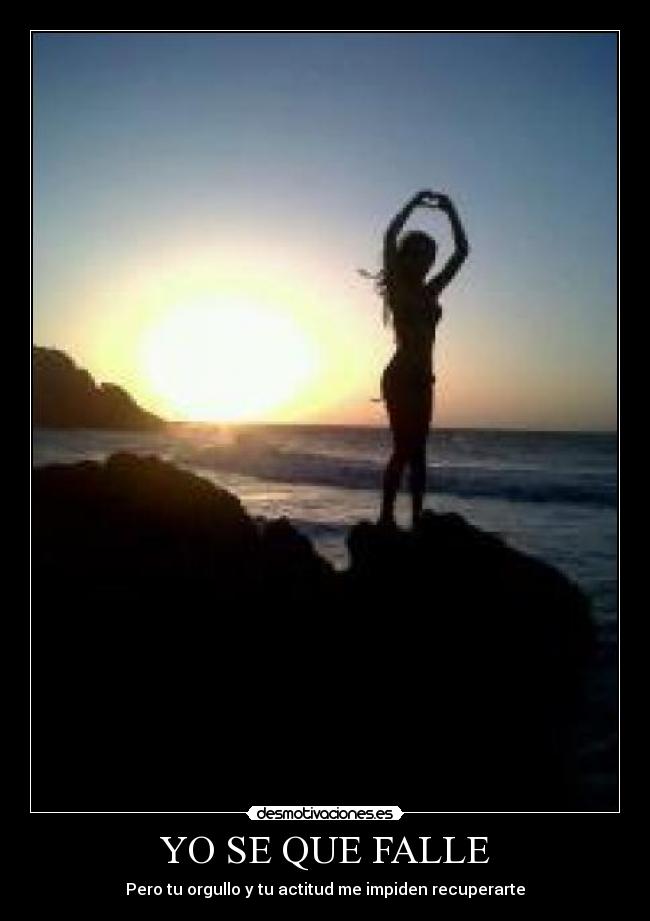 YO SE QUE FALLE -