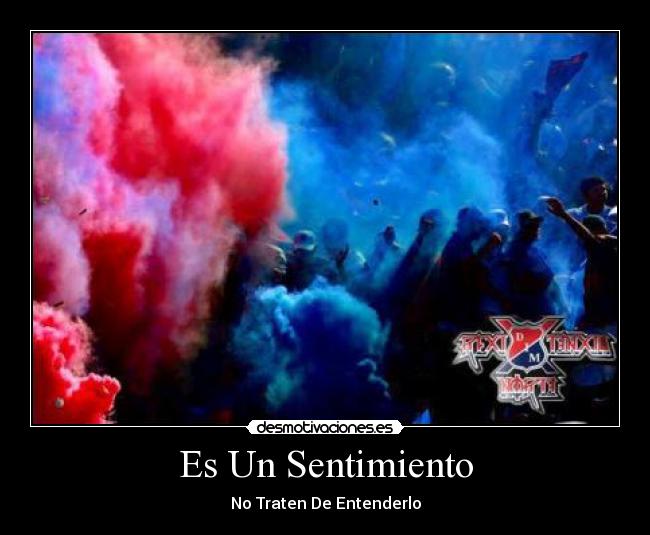 carteles dim desmotivaciones