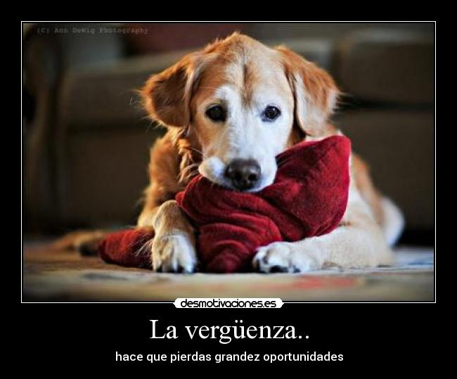 La vergüenza.. - hace que pierdas grandez oportunidades