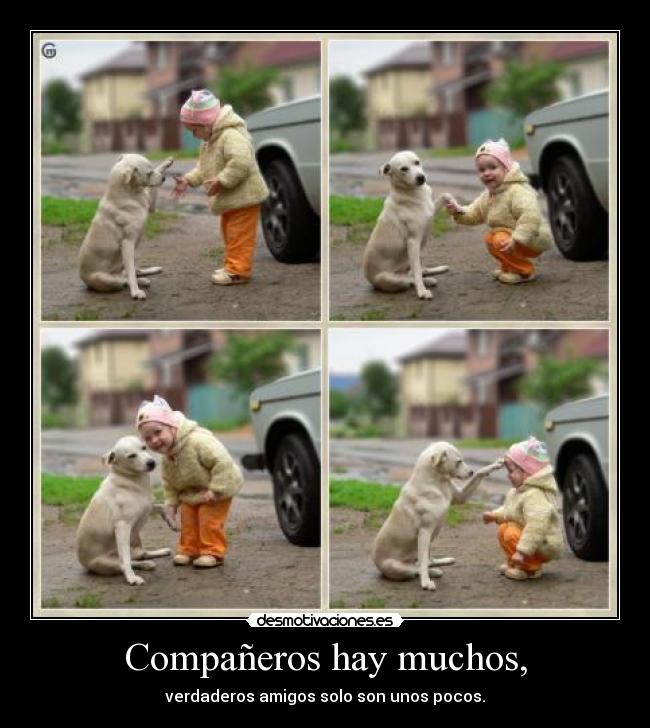 Compañeros hay muchos, - verdaderos amigos solo son unos pocos.