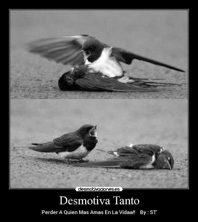 Desmotiva Tanto - Perder A Quien Mas Amas En La Vidaa!!    By : ST