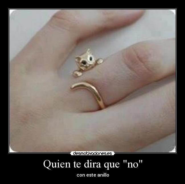 carteles anillo gato desmotivaciones