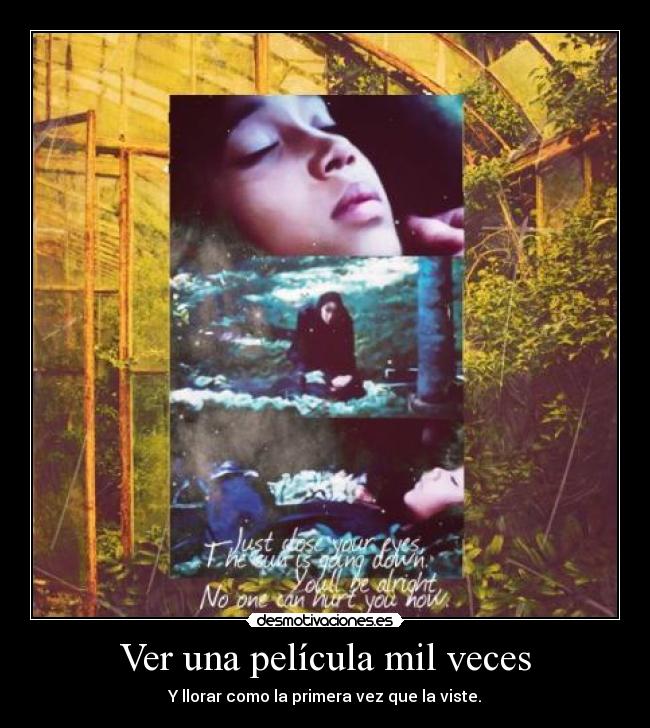 Ver una película mil veces -