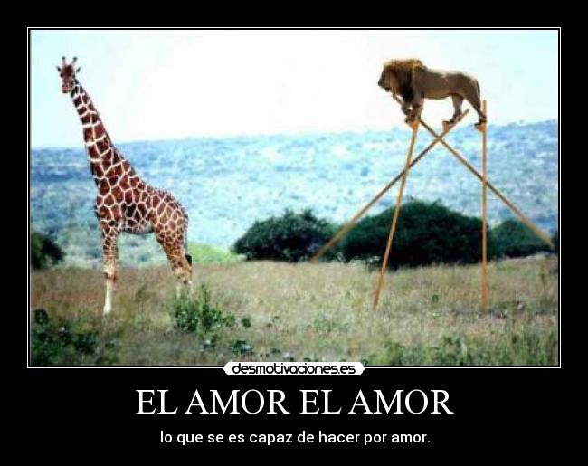 EL AMOR EL AMOR - lo que se es capaz de hacer por amor.