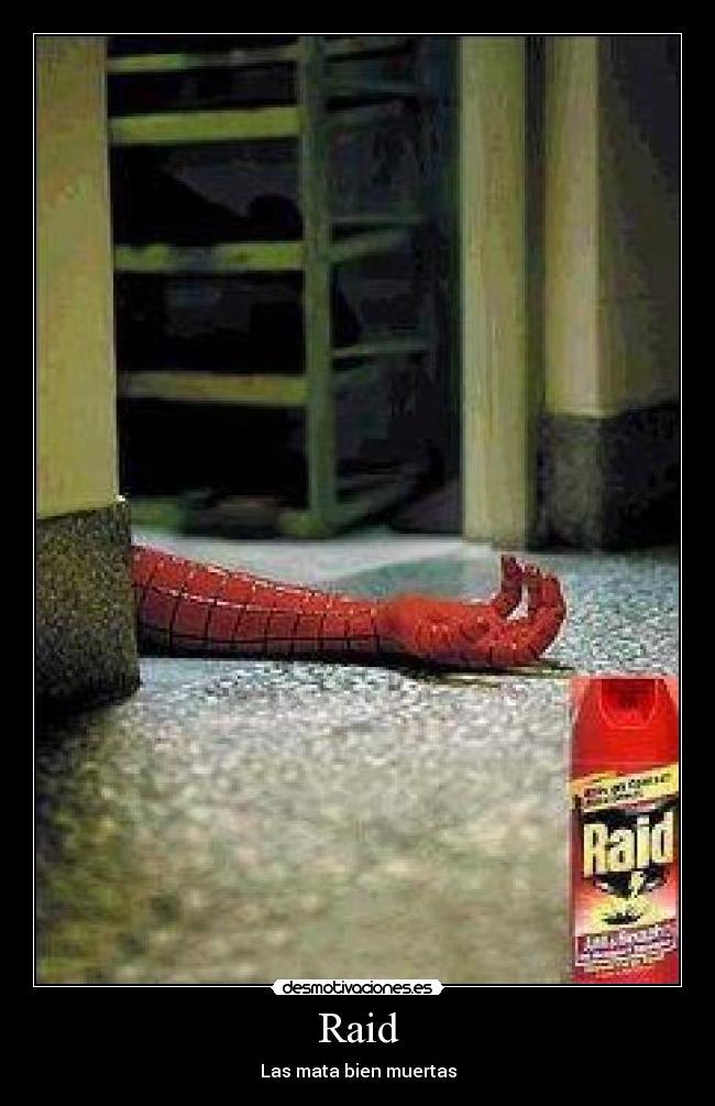 Raid - Las mata bien muertas