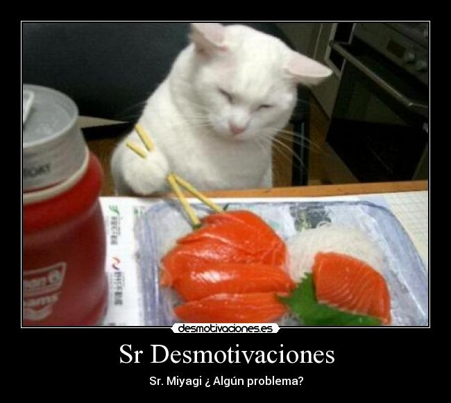 Sr Desmotivaciones -