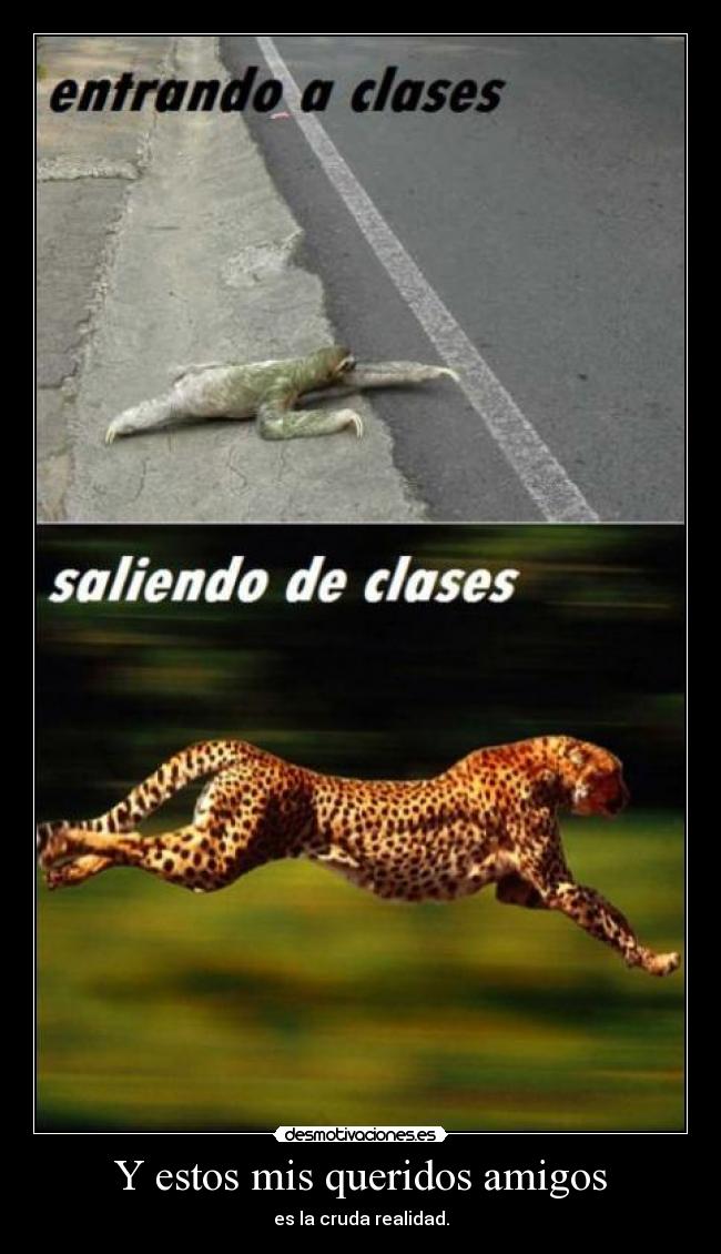 carteles amigos cruda realidad desmotivaciones