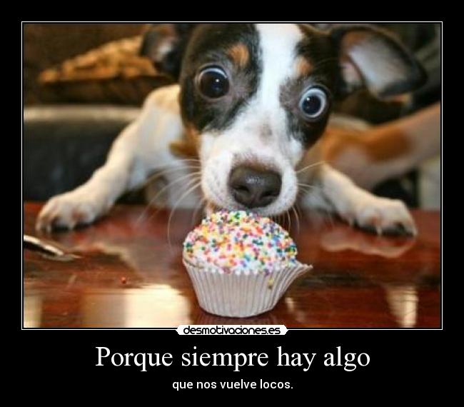 carteles vuelvoo locaa con los chocolates desmotivaciones