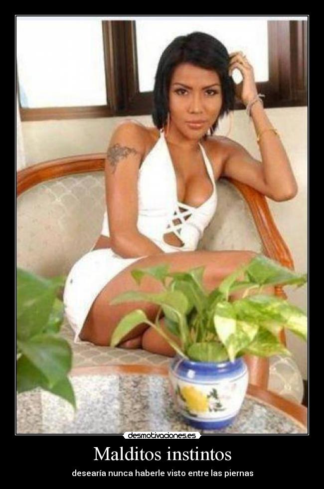 carteles malditos intintos travesti piernas desmotivaciones