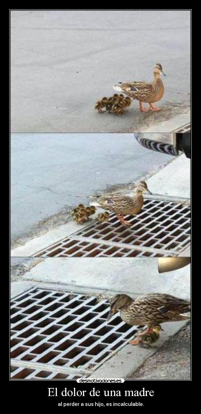 El dolor de una madre - al perder a sus hijo, es incalculable.