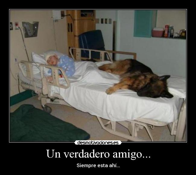 Un verdadero amigo... - Siempre esta ahí...