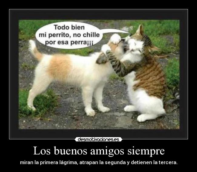 Los buenos amigos siempre - miran la primera lágrima, atrapan la segunda y detienen la tercera.