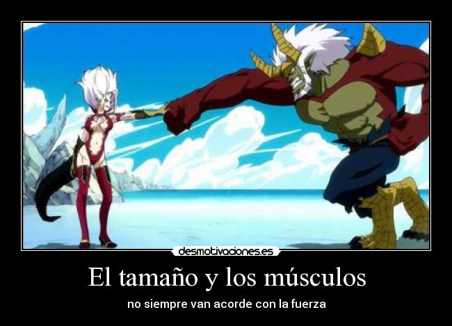 El tamaño y los músculos -